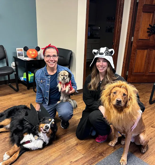 Myers Animal Clinic Picture 5