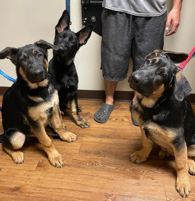 Myers Animal Clinic Picture 7