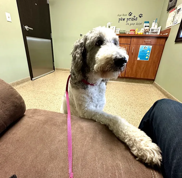 Green Prairie Animal Hospitals Picture 6