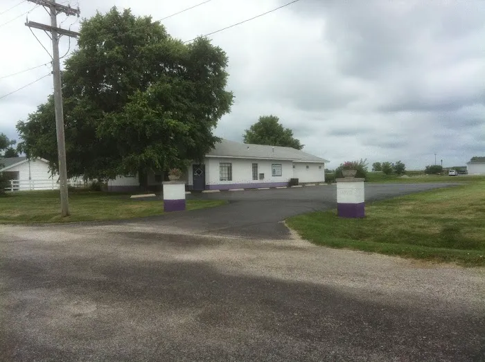 Williamsville Veterinary Clinic Picture 1