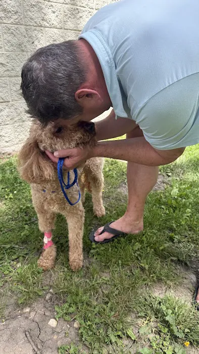 Animal Emergency Clinic Picture 9