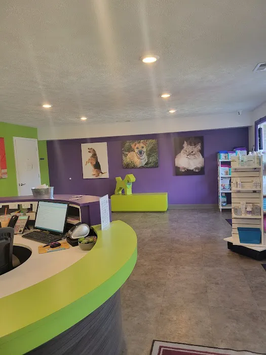 SmartVet Picture 3