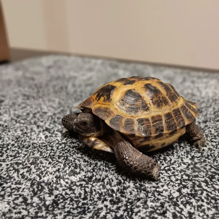 Prairie Oak Veterinary Center Picture 7