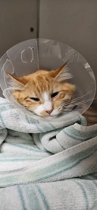 Prairie Oak Veterinary Center Picture 10