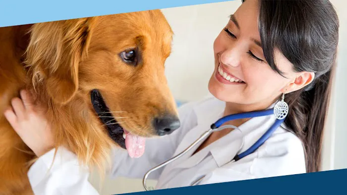 Fairway Knolls Veterinary Hospital Picture 5