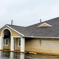 Eastland Companion Animal Hospital ico