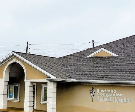 Eastland Companion Animal Hospital