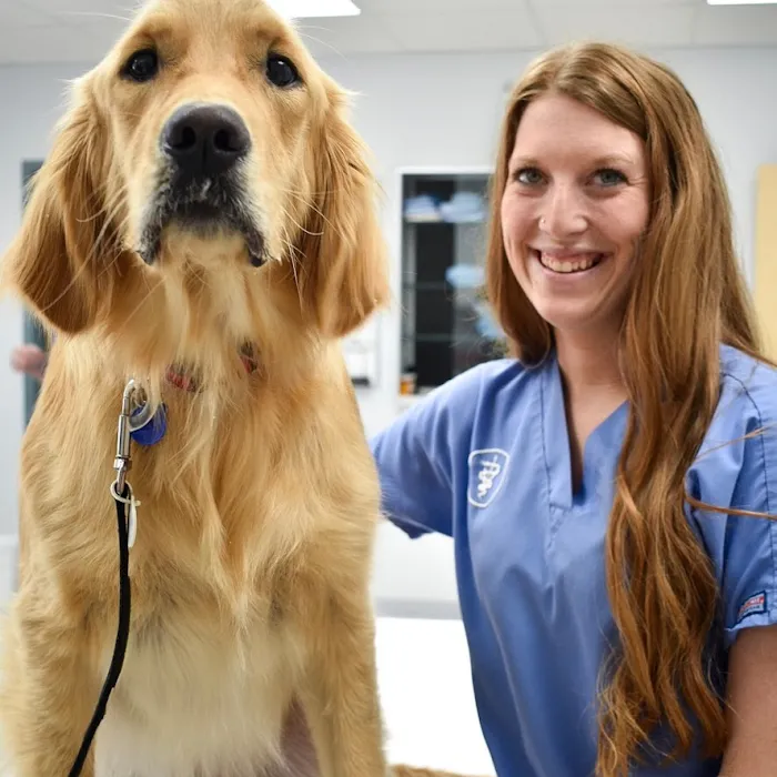 Eastland Companion Animal Hospital Picture 8