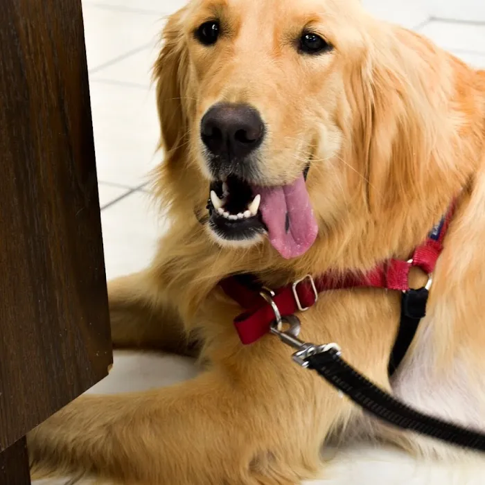 Eastland Companion Animal Hospital Picture 10