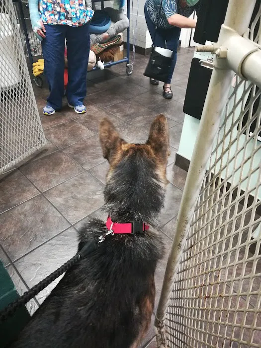 Bortell Animal Hospital Picture 6