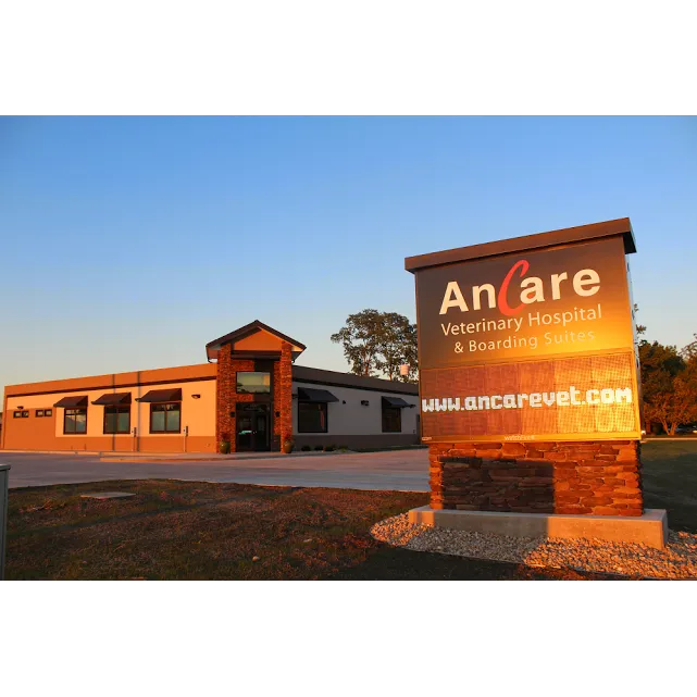 Ancare Veterinary Hospital Picture 9