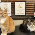 Progress Park Veterinary Hospital