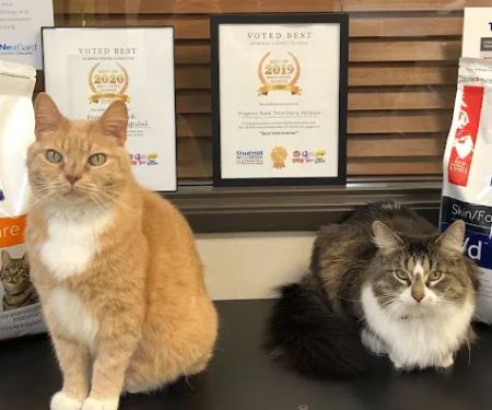 Progress Park Veterinary Hospital