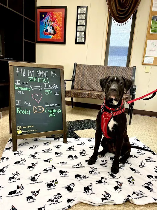 Progress Park Veterinary Hospital Picture 4