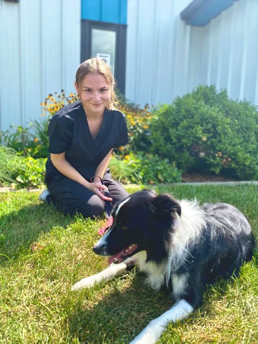 Progress Park Veterinary Hospital Picture 7