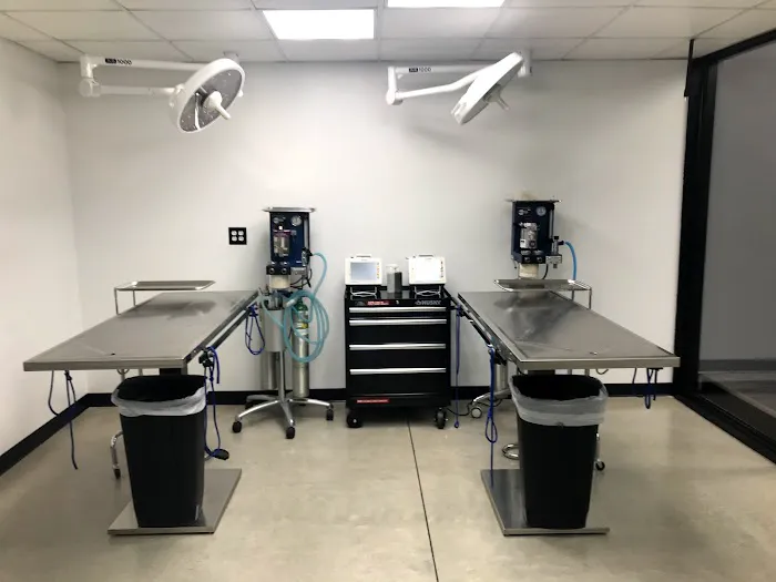 Bridgeview Veterinary Hospital Picture 1