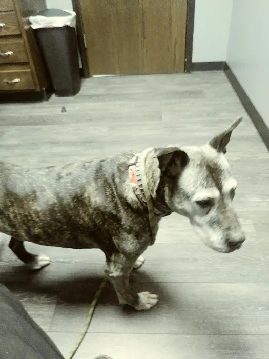 Bridgeview Veterinary Hospital Picture 3