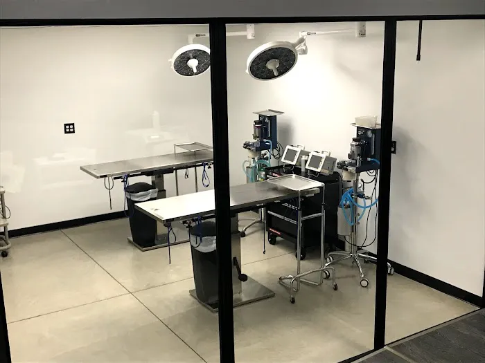 Bridgeview Veterinary Hospital Picture 6