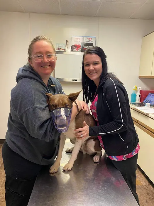 Countryside Animal Clinic Picture 3