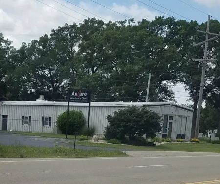 Ancare Veterinary Clinic - Spring Valley