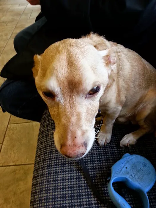 Bethany Animal Hospital Picture 4