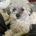 Prairie View Animal Hospital