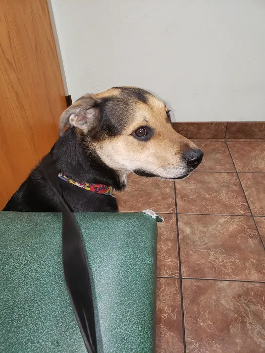 Prairie View Animal Hospital Picture 2