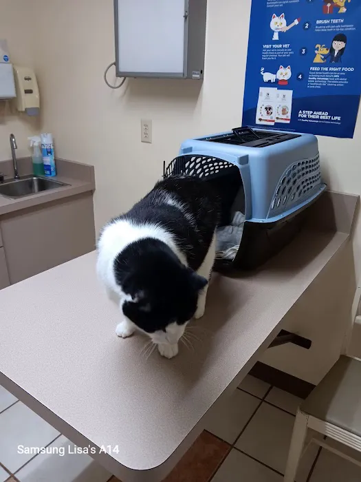 Malta Veterinary Hospital Picture 1
