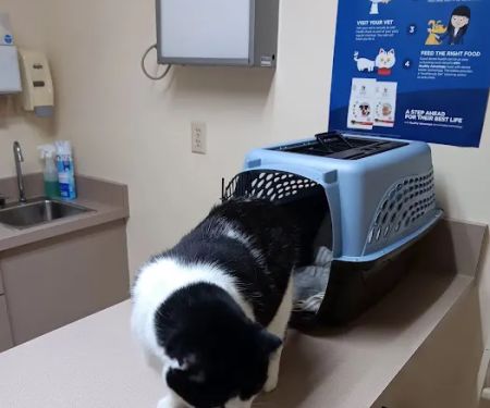 Malta Veterinary Hospital