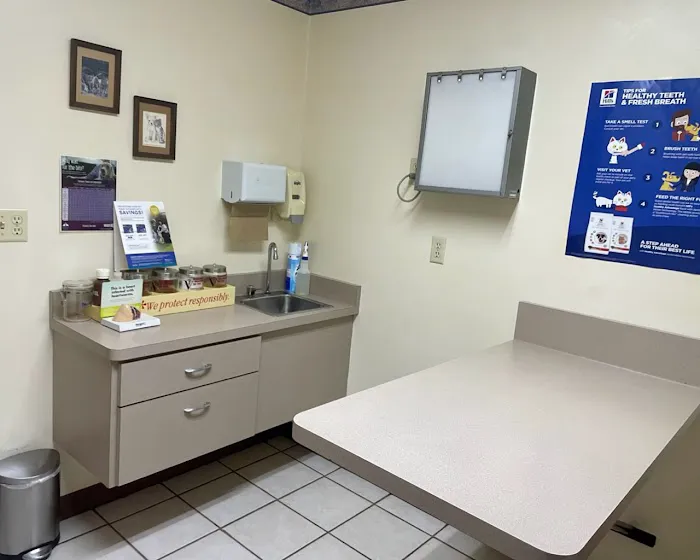 Malta Veterinary Hospital Picture 3