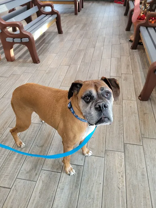 Crystal Lake Veterinary Hospital Picture 5
