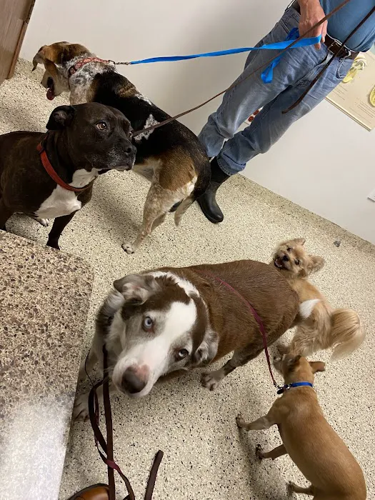 Round Lake Animal Hospital Picture 2
