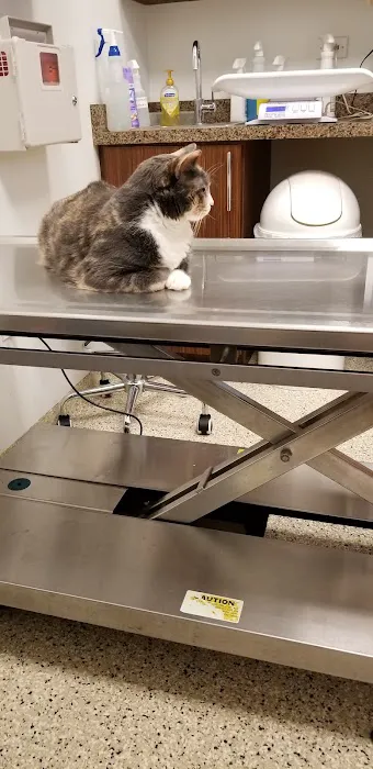 Round Lake Animal Hospital Picture 8