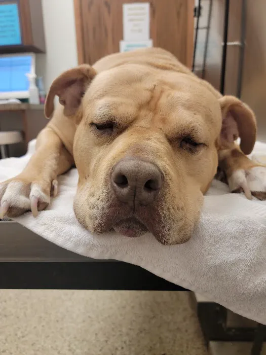 Round Lake Animal Hospital Picture 10