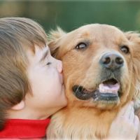 McHenry Pet Hospital ico