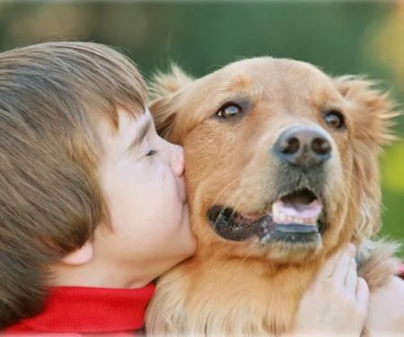 McHenry Pet Hospital