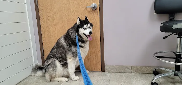 McHenry Pet Hospital Picture 5