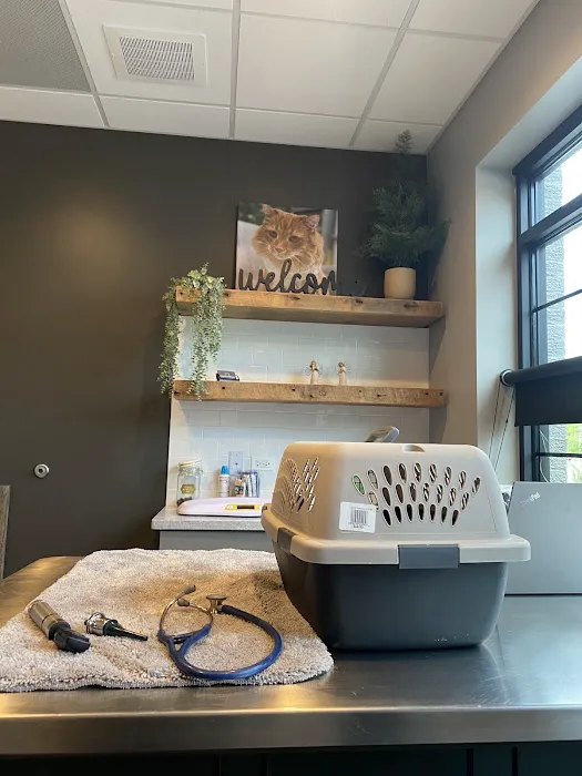 Village Veterinary Clinic Picture 6