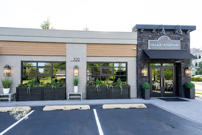 Village Veterinary Clinic Picture 5