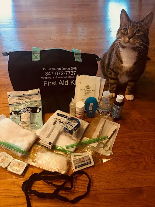 Veterinary Housecall Care Picture 1