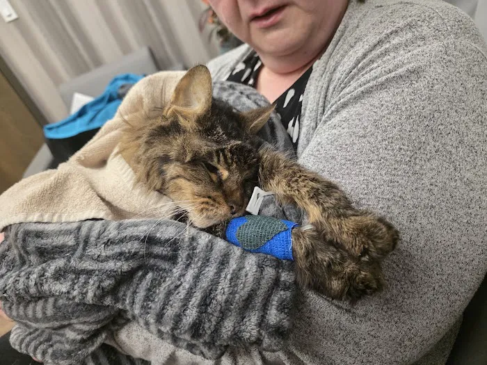 VetMedic - Veterinary Urgent Care Picture 4