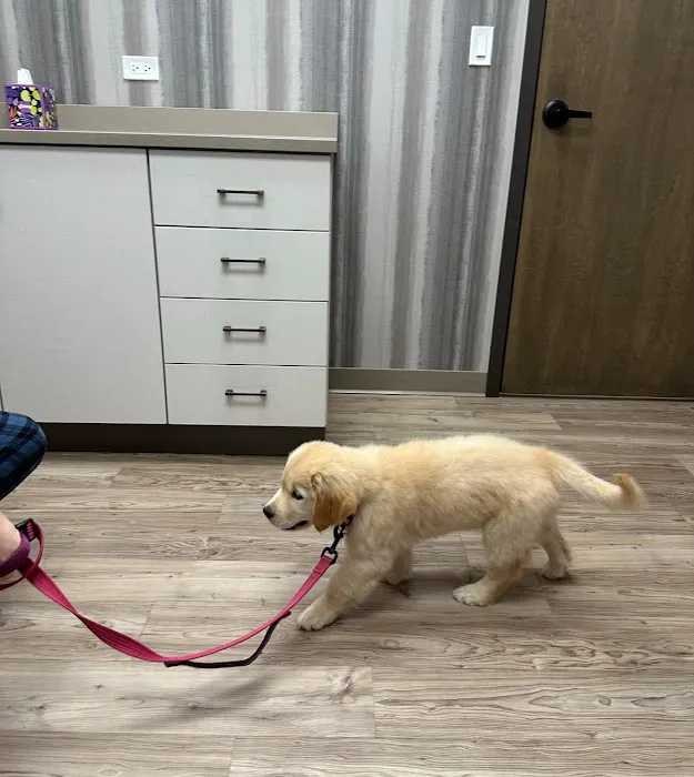 VetMedic - Veterinary Urgent Care Picture 5