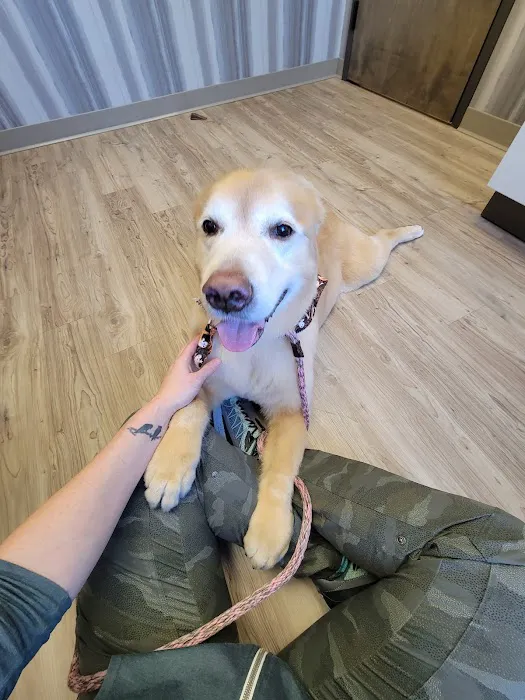 VetMedic - Veterinary Urgent Care Picture 9