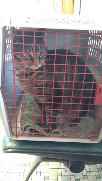 Grayslake Animal Hospital Picture 10