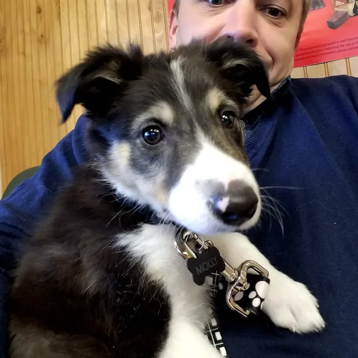 Grayslake Animal Hospital Picture 9