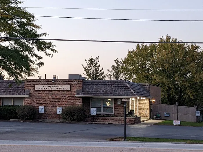 Grayslake Animal Hospital Picture 8