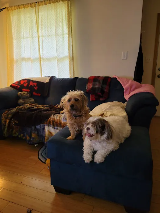 Genoa Animal Hospital Picture 10