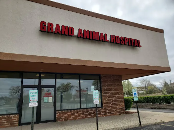 Grand Animal Hospital Picture 8