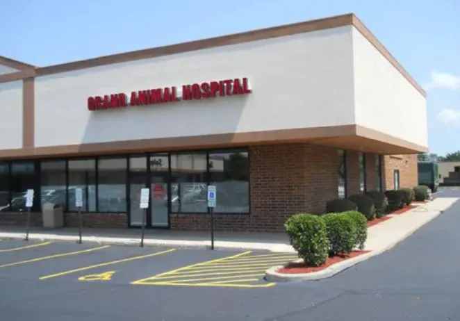 Grand Animal Hospital Picture 9