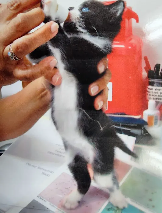 Waukegan Pet Clinic Picture 1